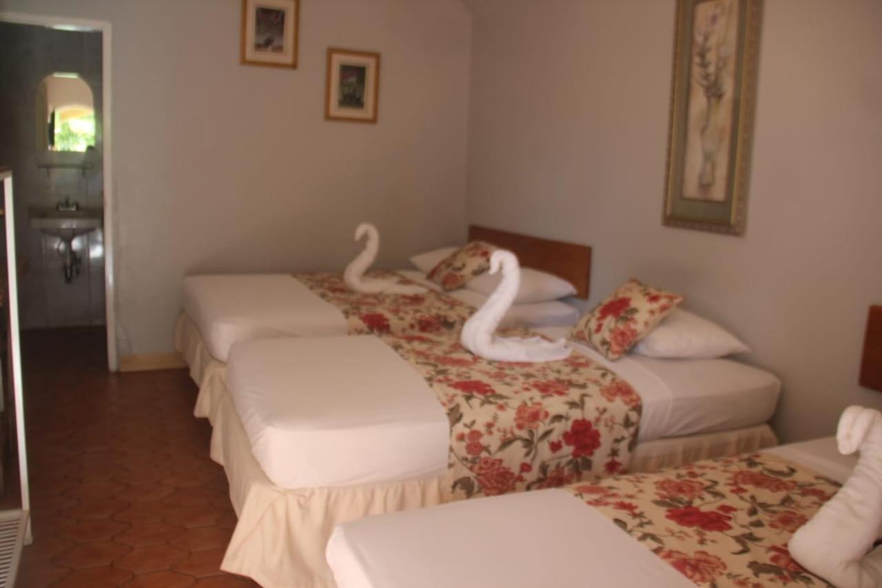 سان خوان ديل سور Royal Chateau Hotel المظهر الخارجي الصورة